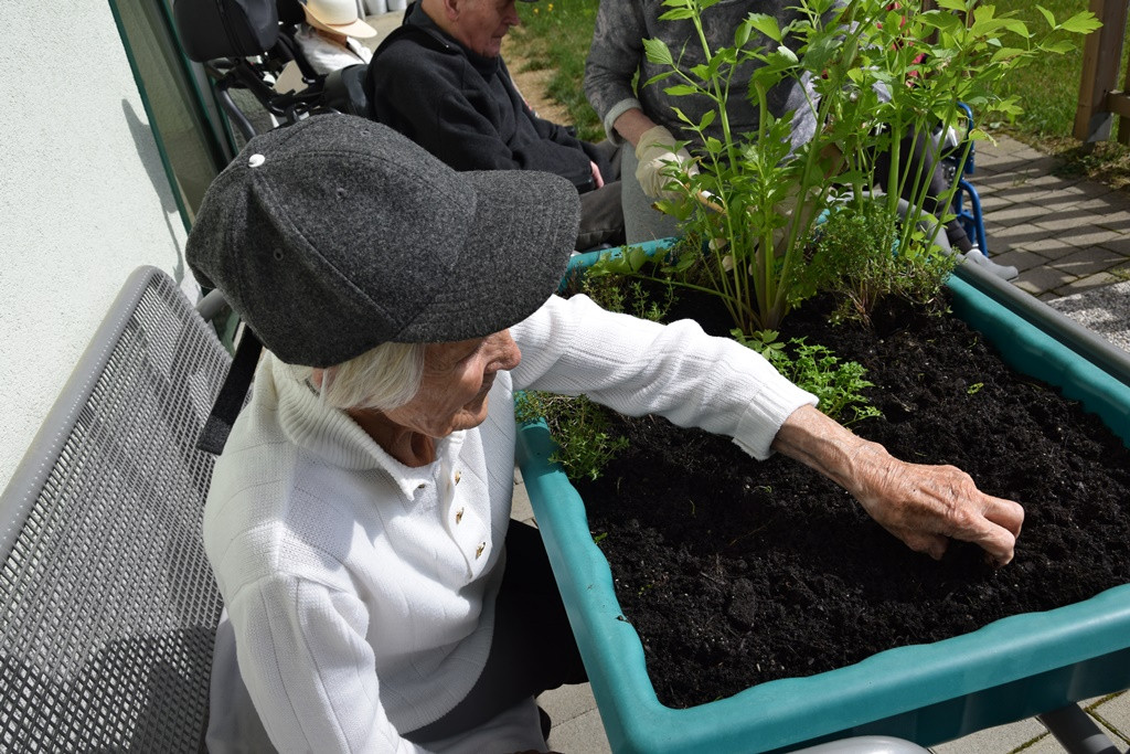 S skupnimi močmi do nove podobe Viharnika