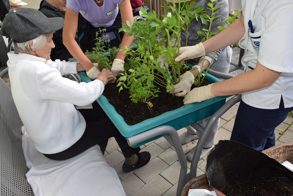 S skupnimi močmi do nove podobe Viharnika