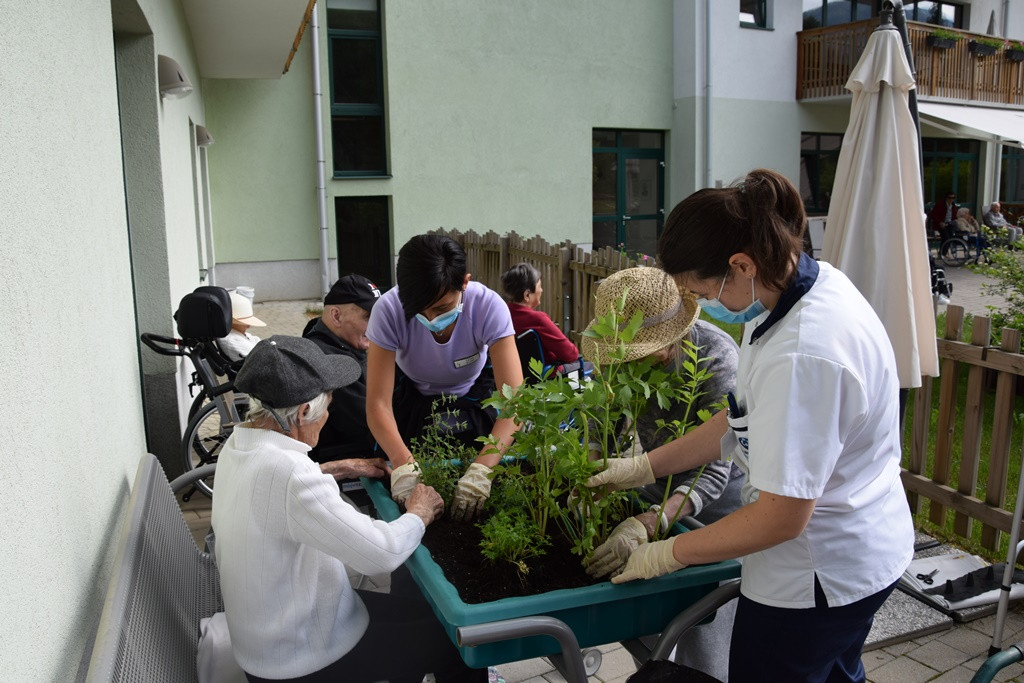 S skupnimi močmi do nove podobe Viharnika