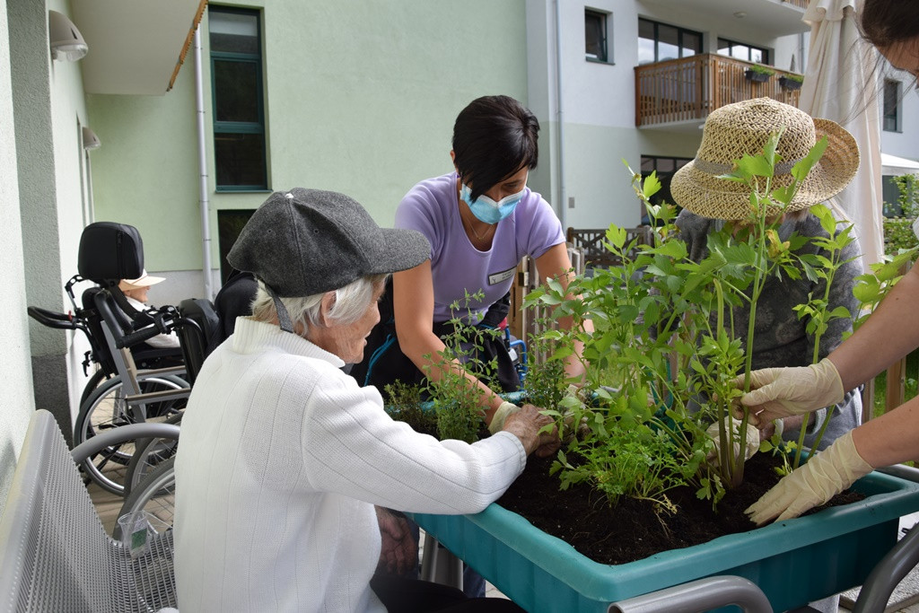 S skupnimi močmi do nove podobe Viharnika