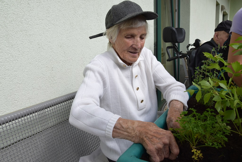 S skupnimi močmi do nove podobe Viharnika