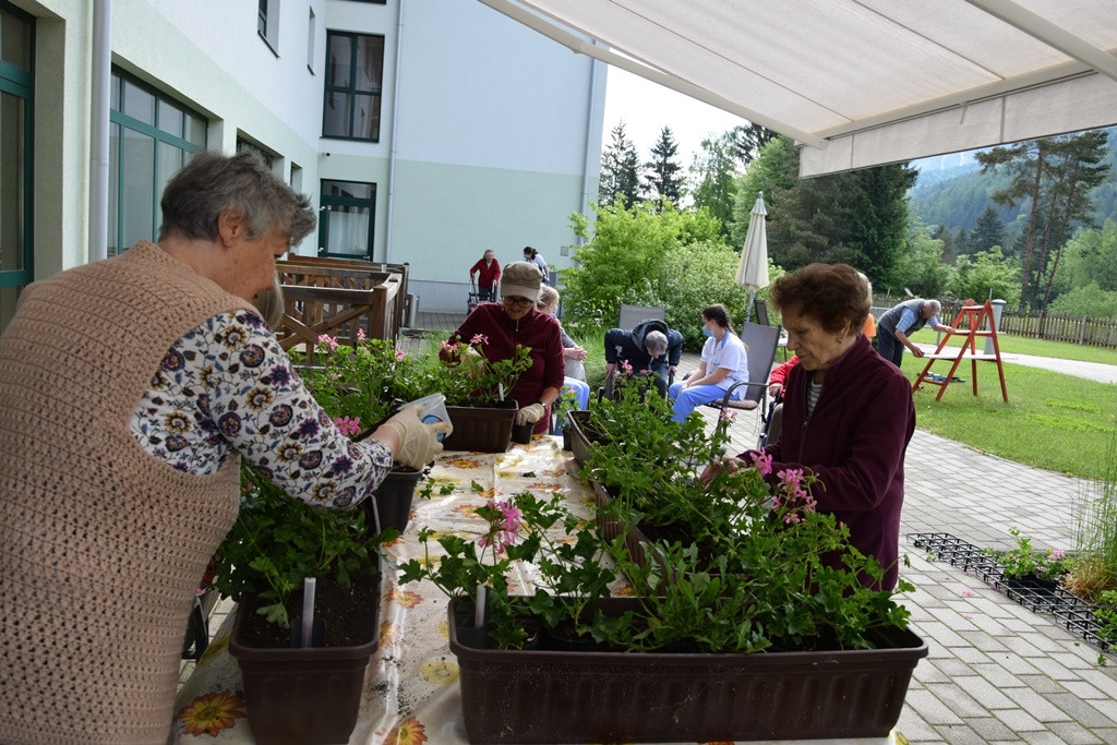 S skupnimi močmi do nove podobe Viharnika