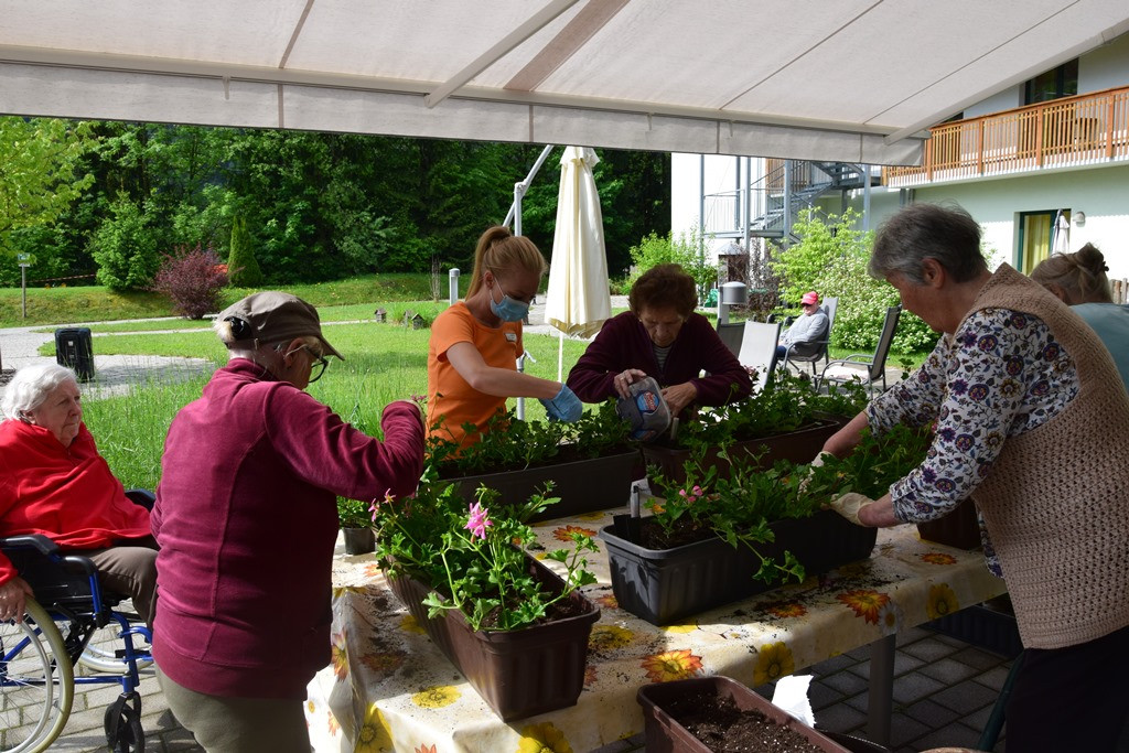 S skupnimi močmi do nove podobe Viharnika