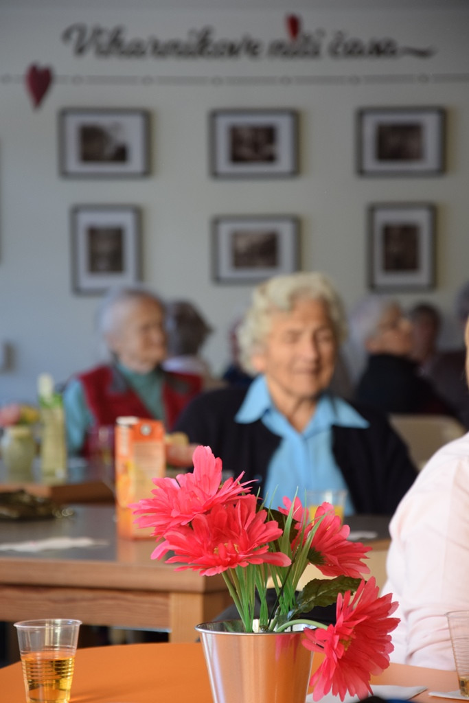 S srcem v dlani na valentinov ples