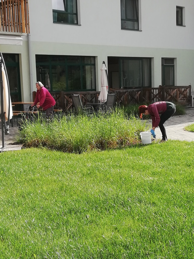 Saditev rož in našega garklca