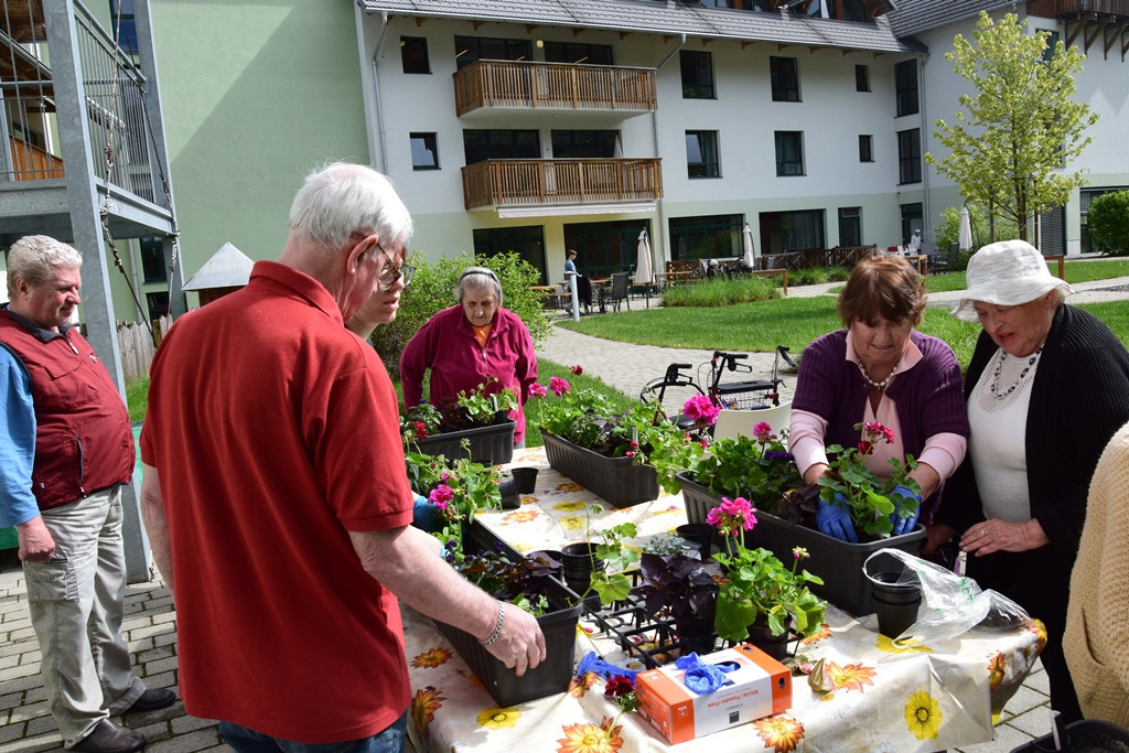 Saditev rož in našega garklca