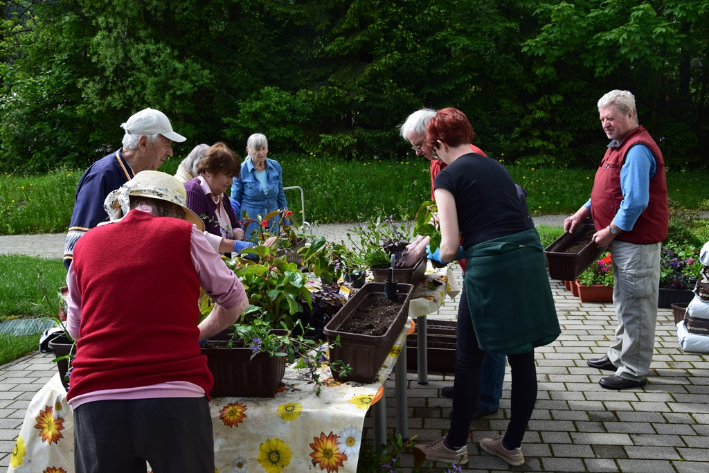 Saditev rož in našega garklca