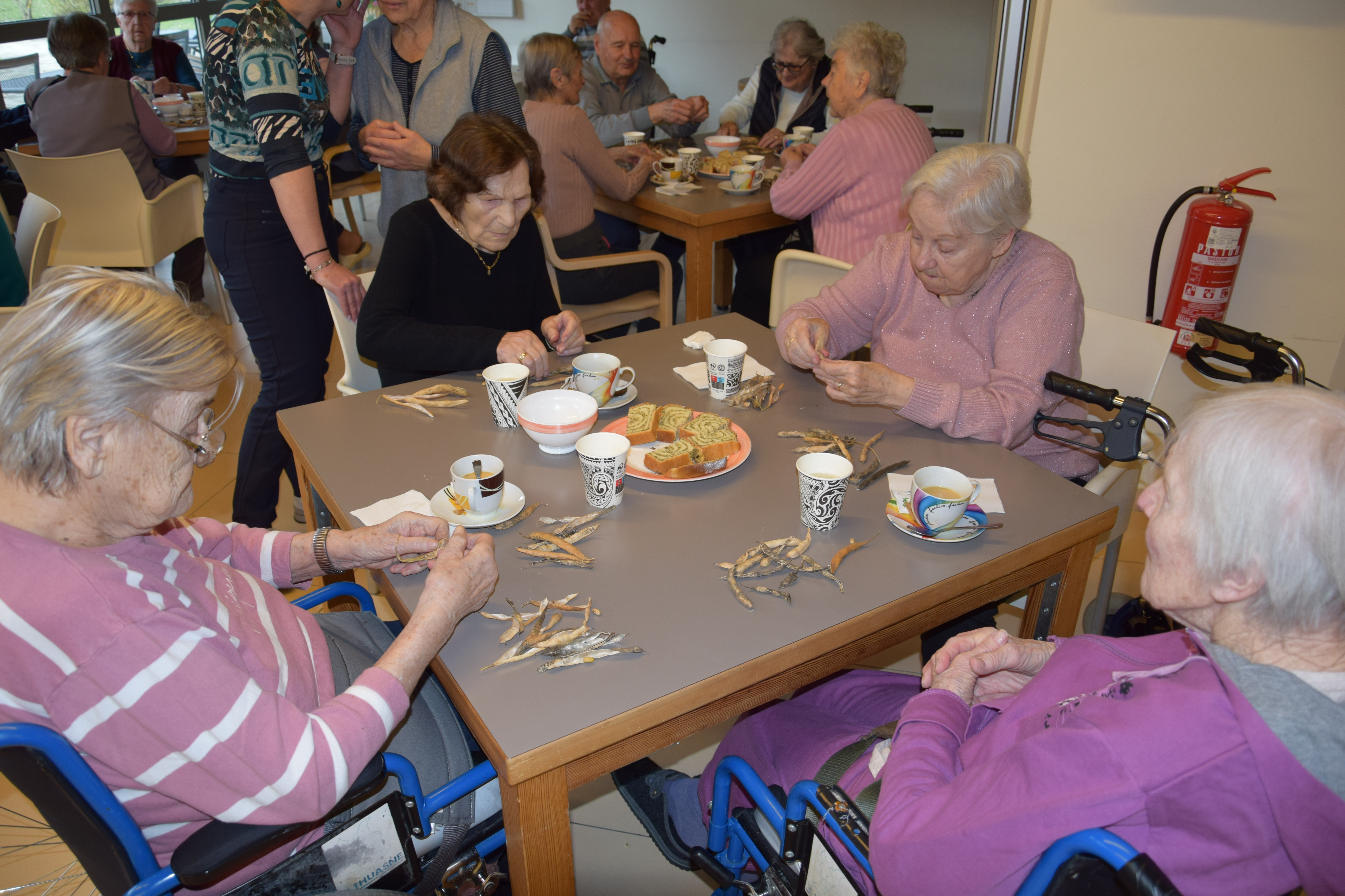 Ta veseli četrtek v avli