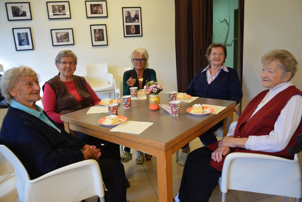 Ta veseli petek in klapa Gallus