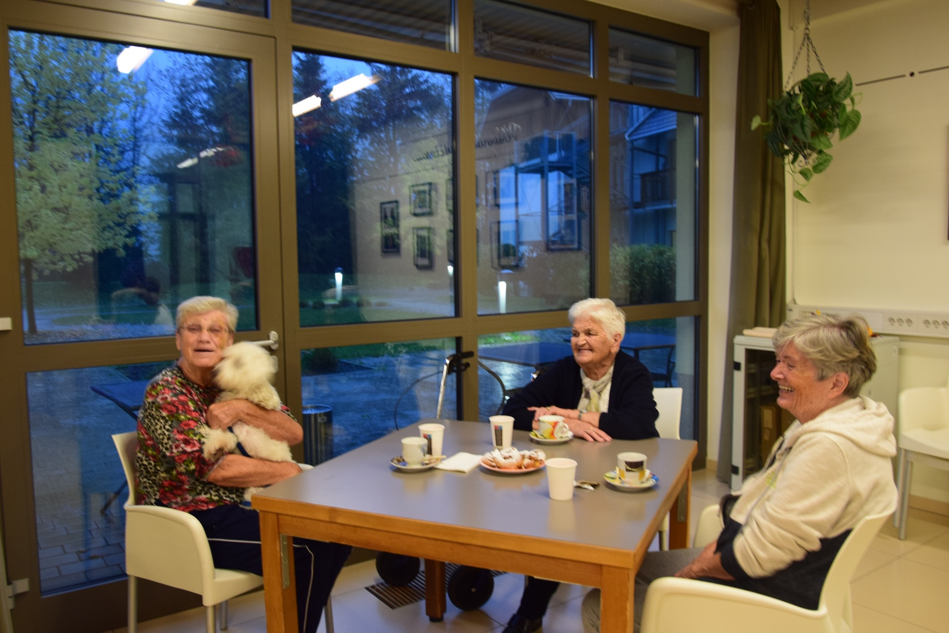 Ta veseli petek v avli