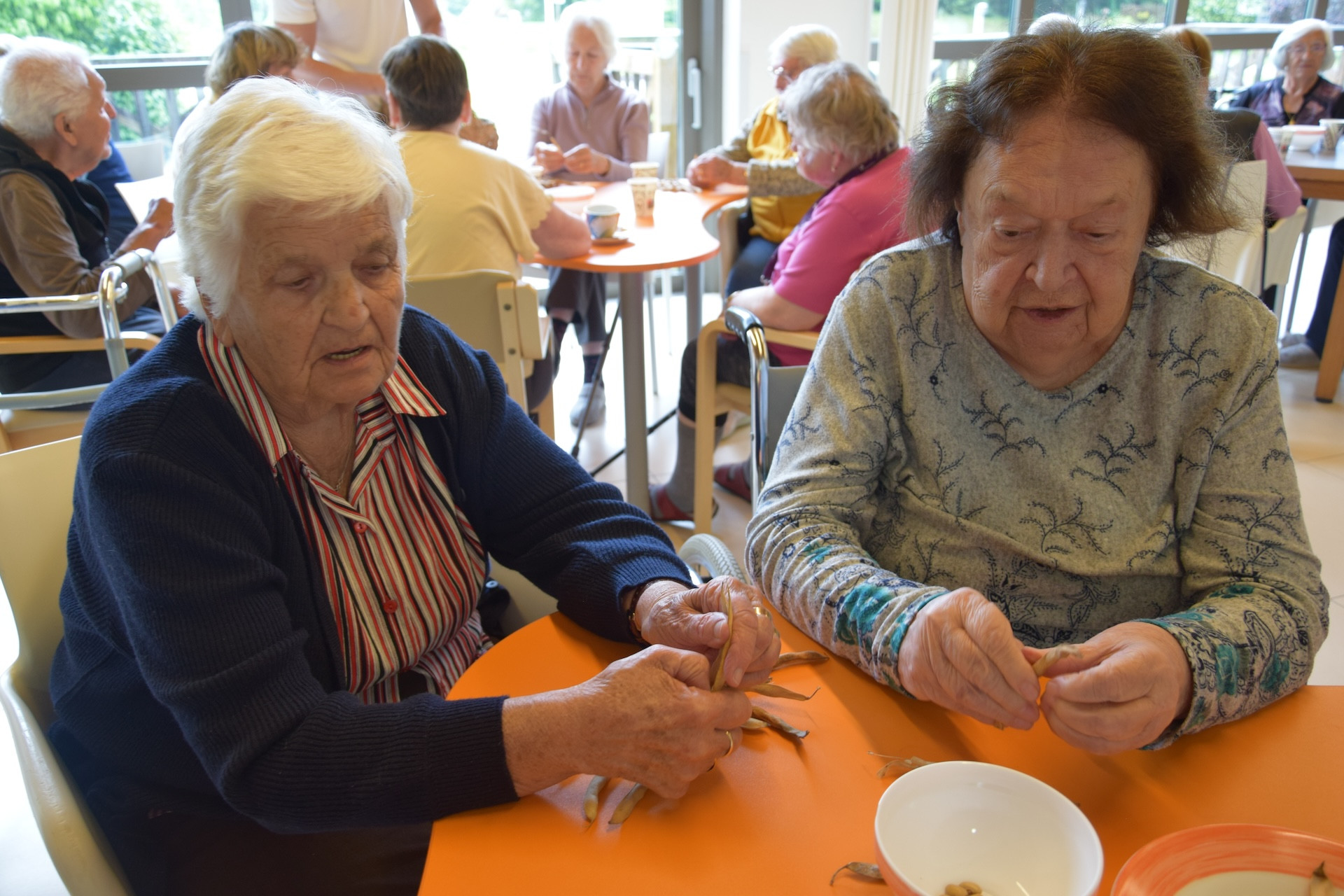 Ta veseli petek v avli