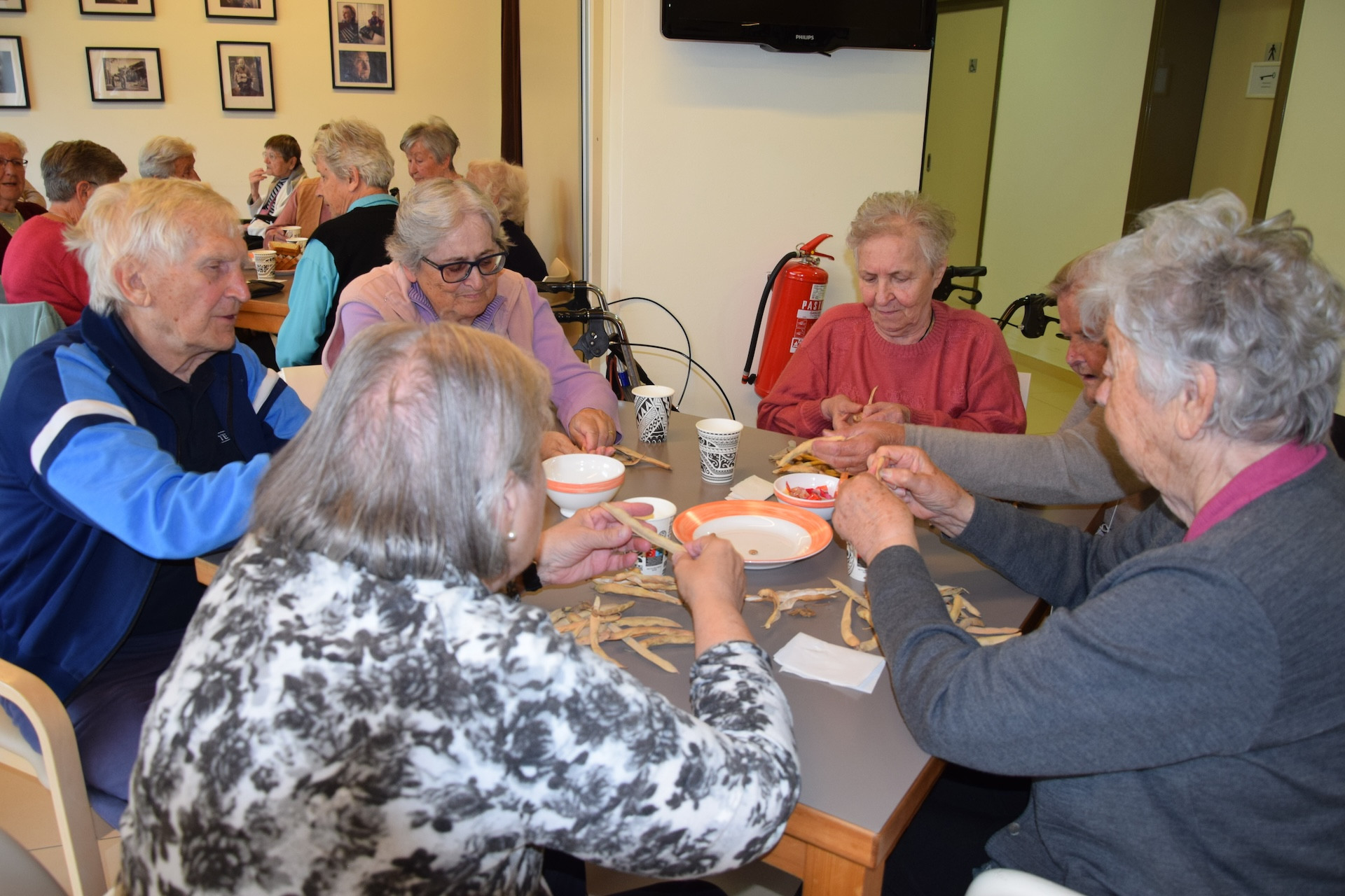 Ta veseli petek v avli