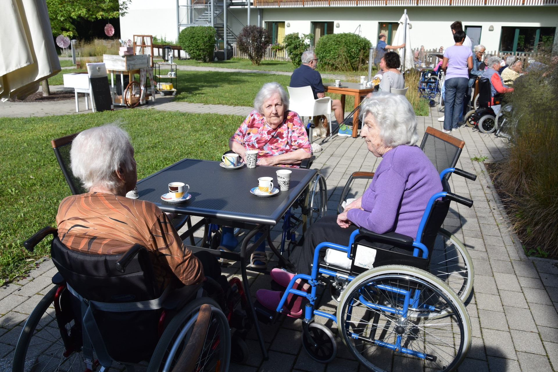 Ta veseli petek v parku doma