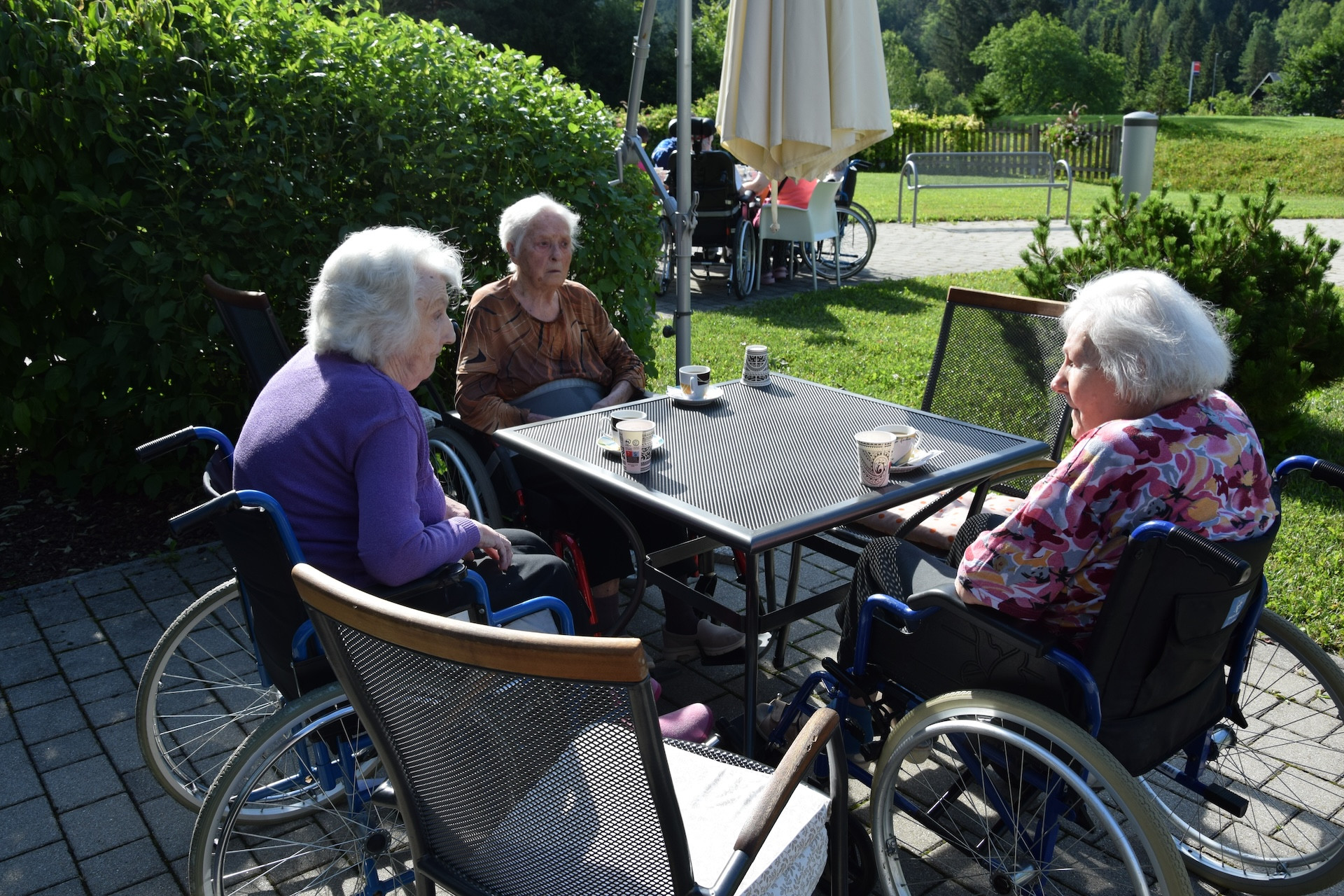 Ta veseli petek v parku doma