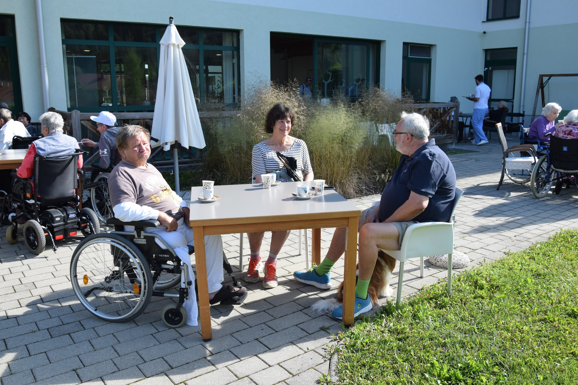 Ta veseli petek v parku doma