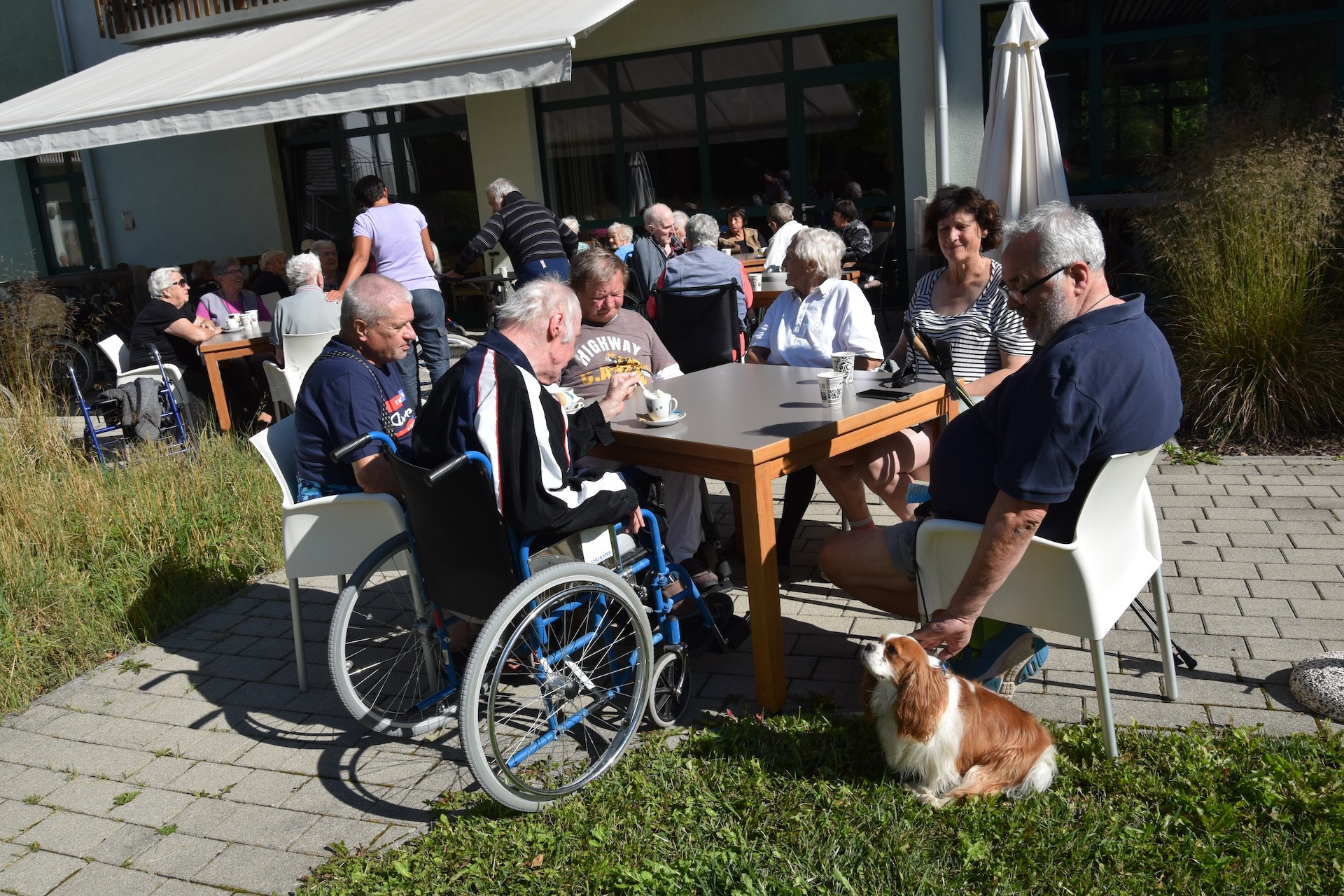 Ta veseli petek v parku doma