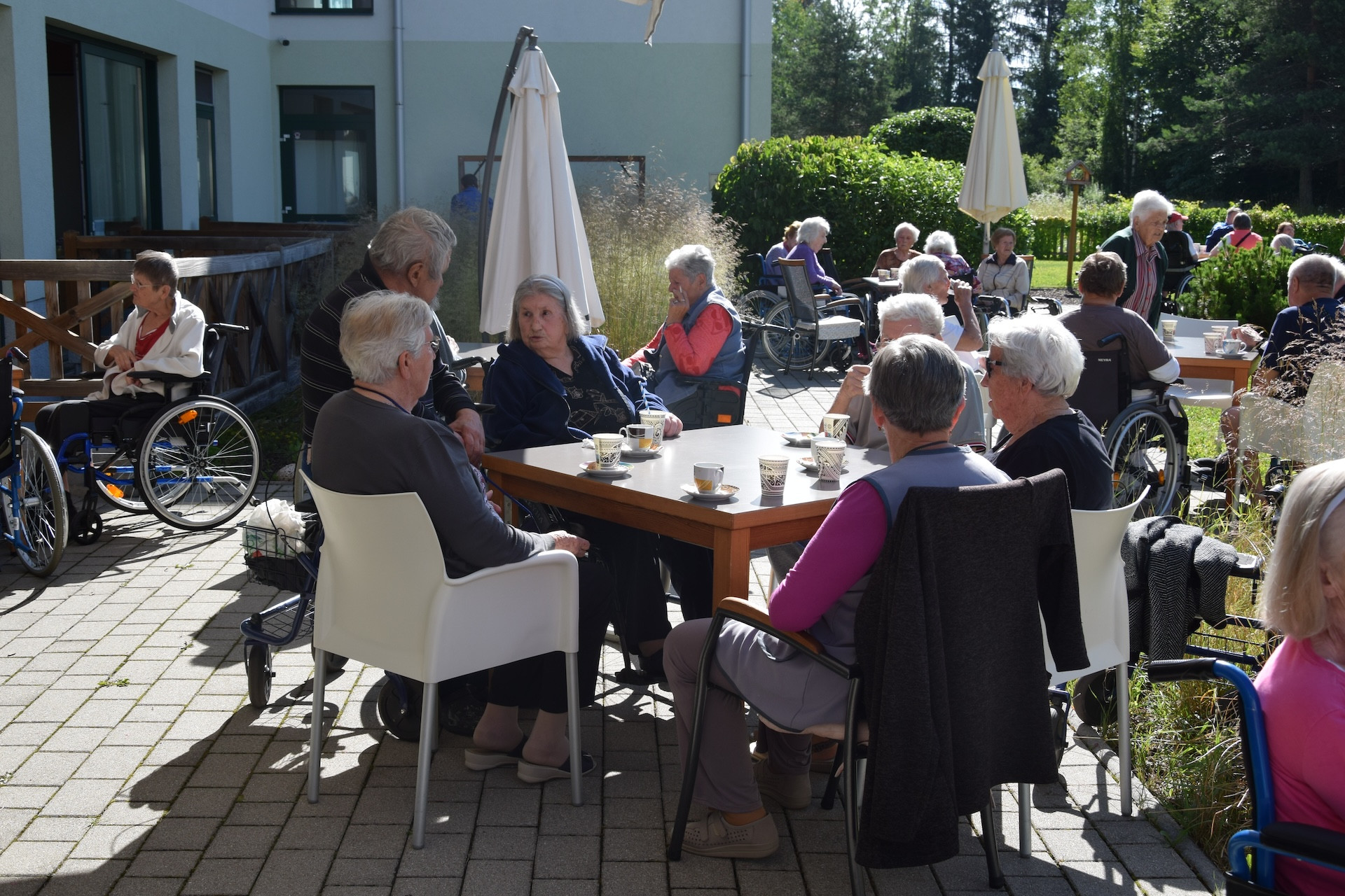 Ta veseli petek v parku doma