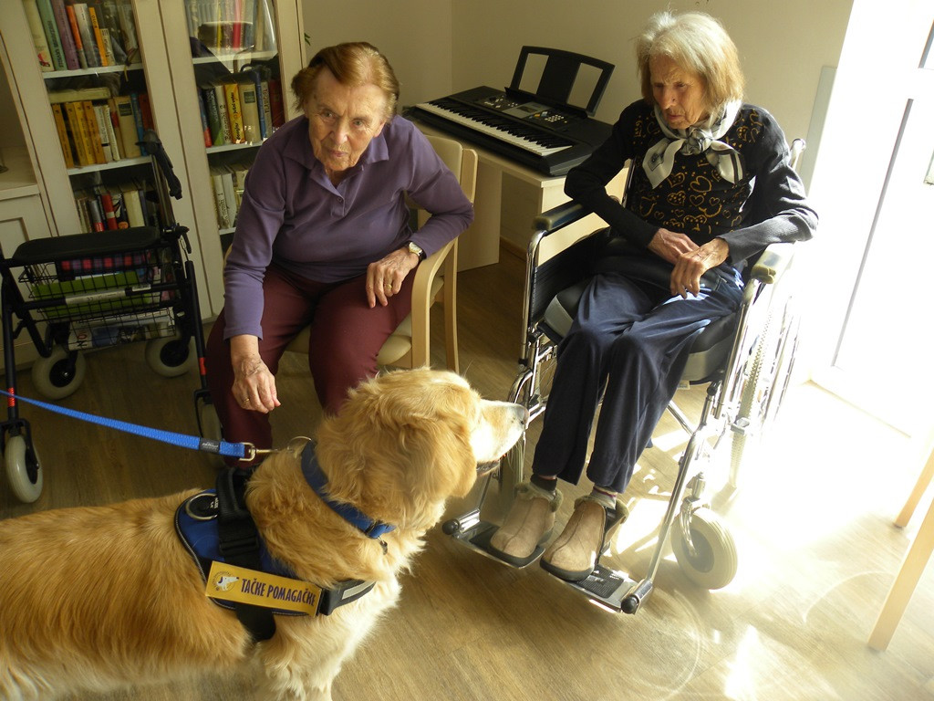 Tačke pomagačke na obisku