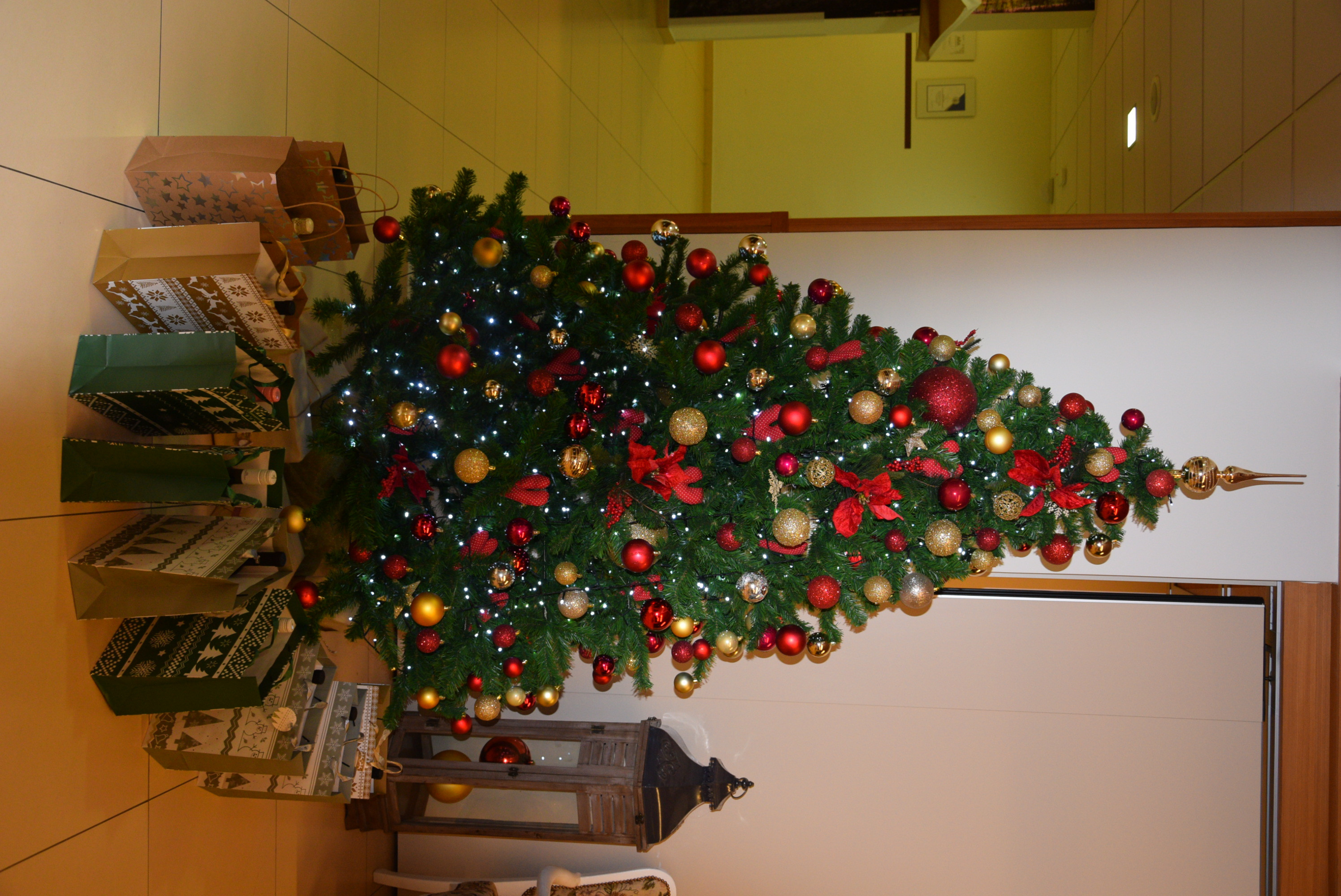 Večerja s prostovoljci