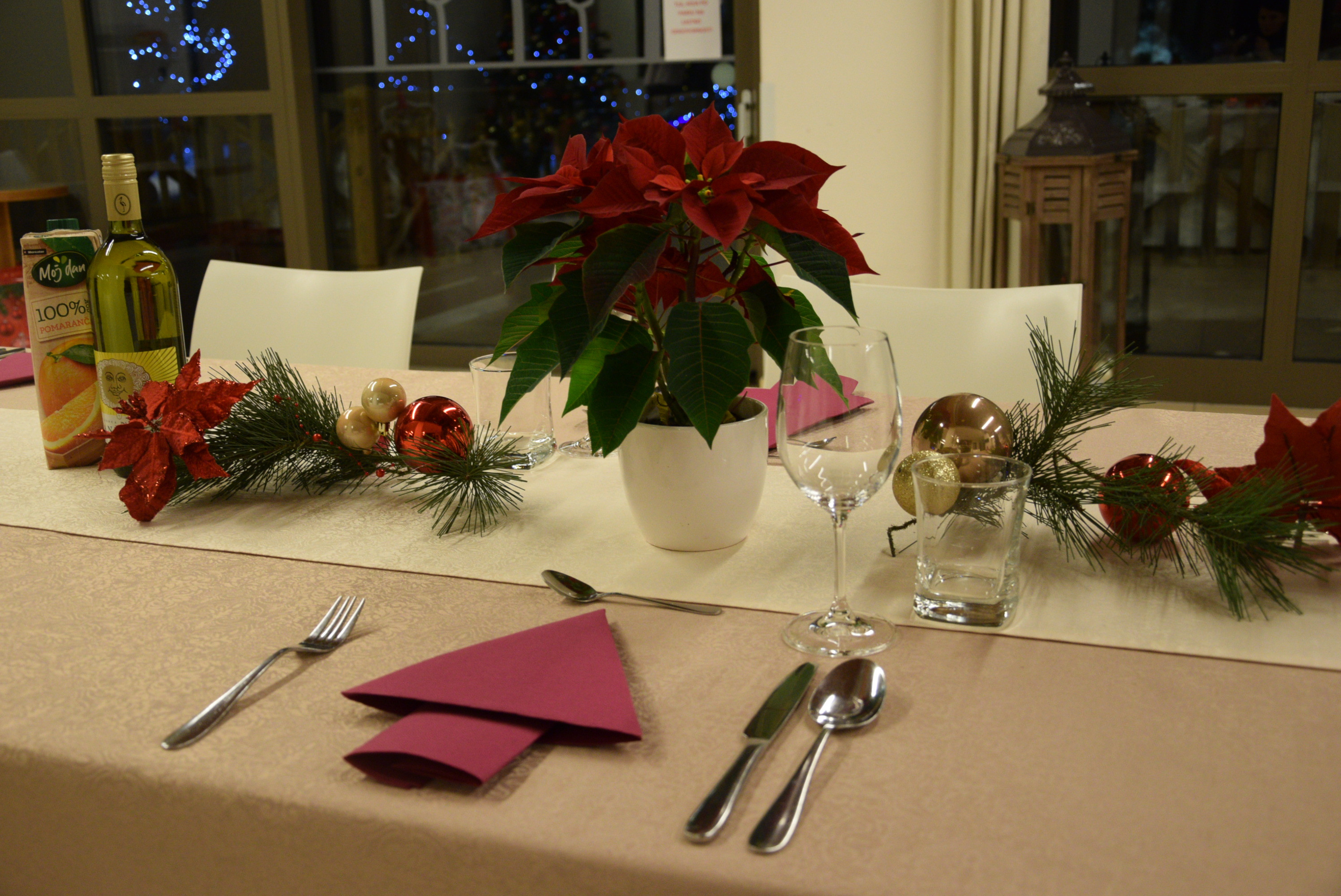 Večerja s prostovoljci