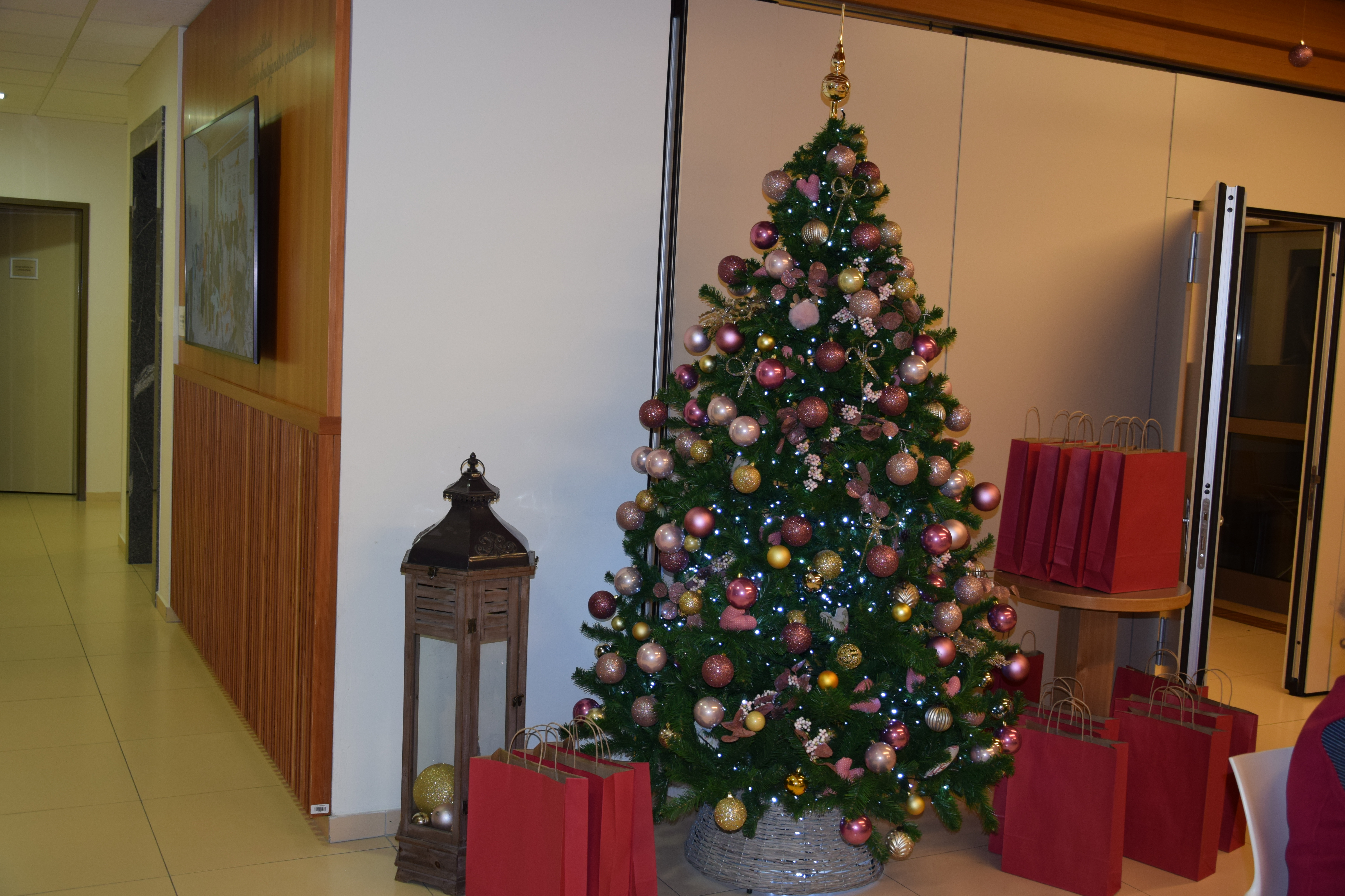 Večerja z prostovoljci