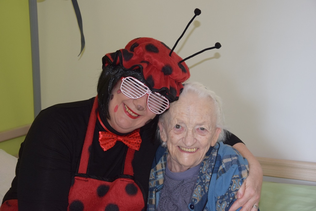 Viharniška pravljična dežela