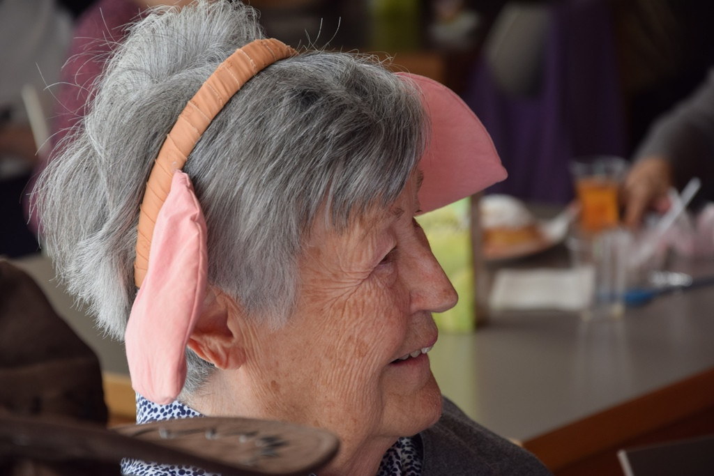 Viharniška pravljična dežela