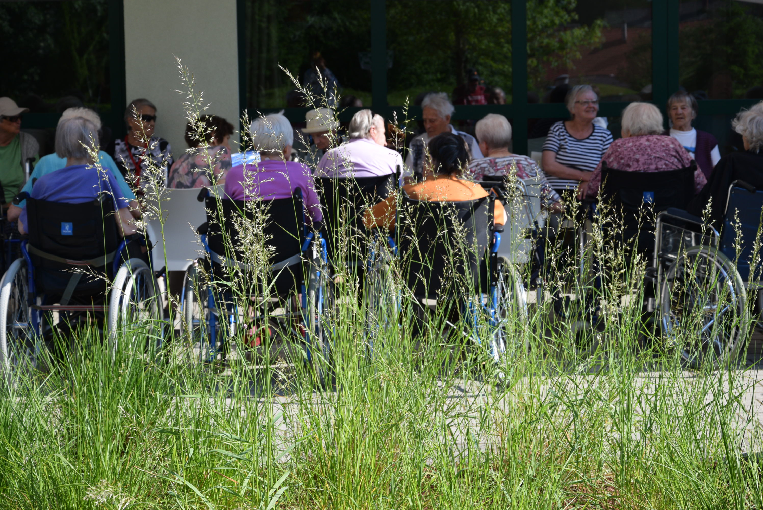 Viharniške igre 2021