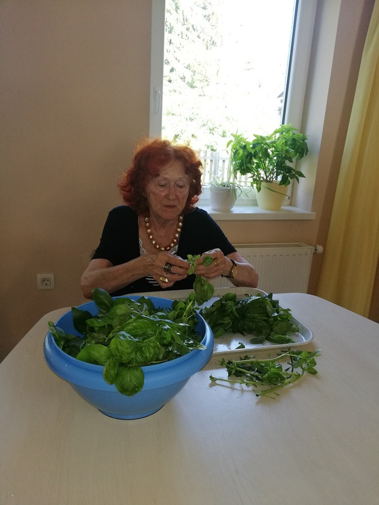 Vrt - naša okupacija