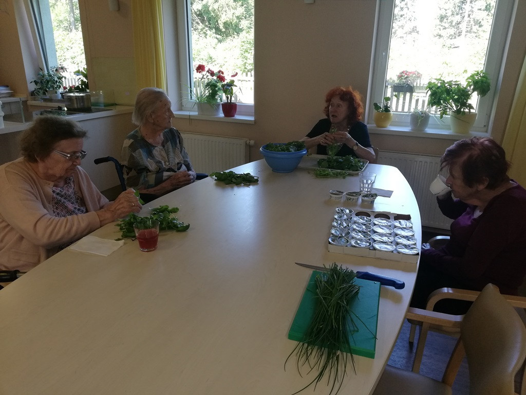 Vrt - naša okupacija