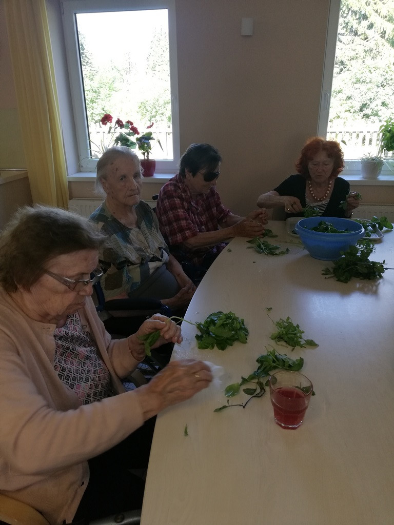 Vrt - naša okupacija