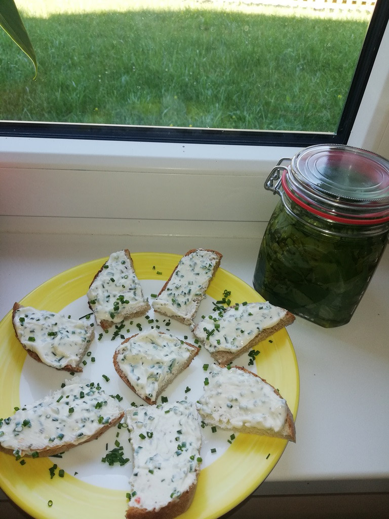 Vrt - naša okupacija