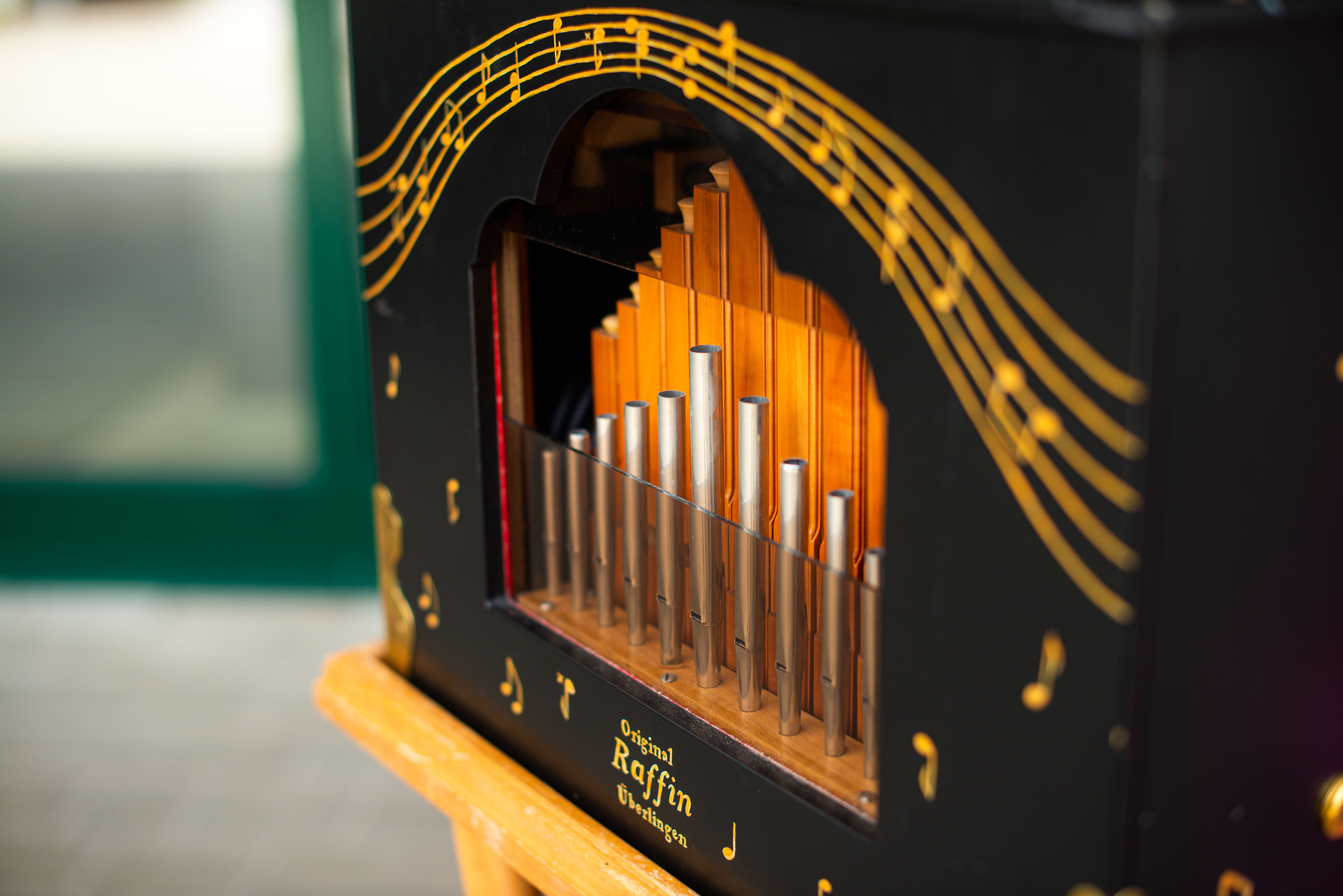 Z Viharnikom skozi čas - v parku doma