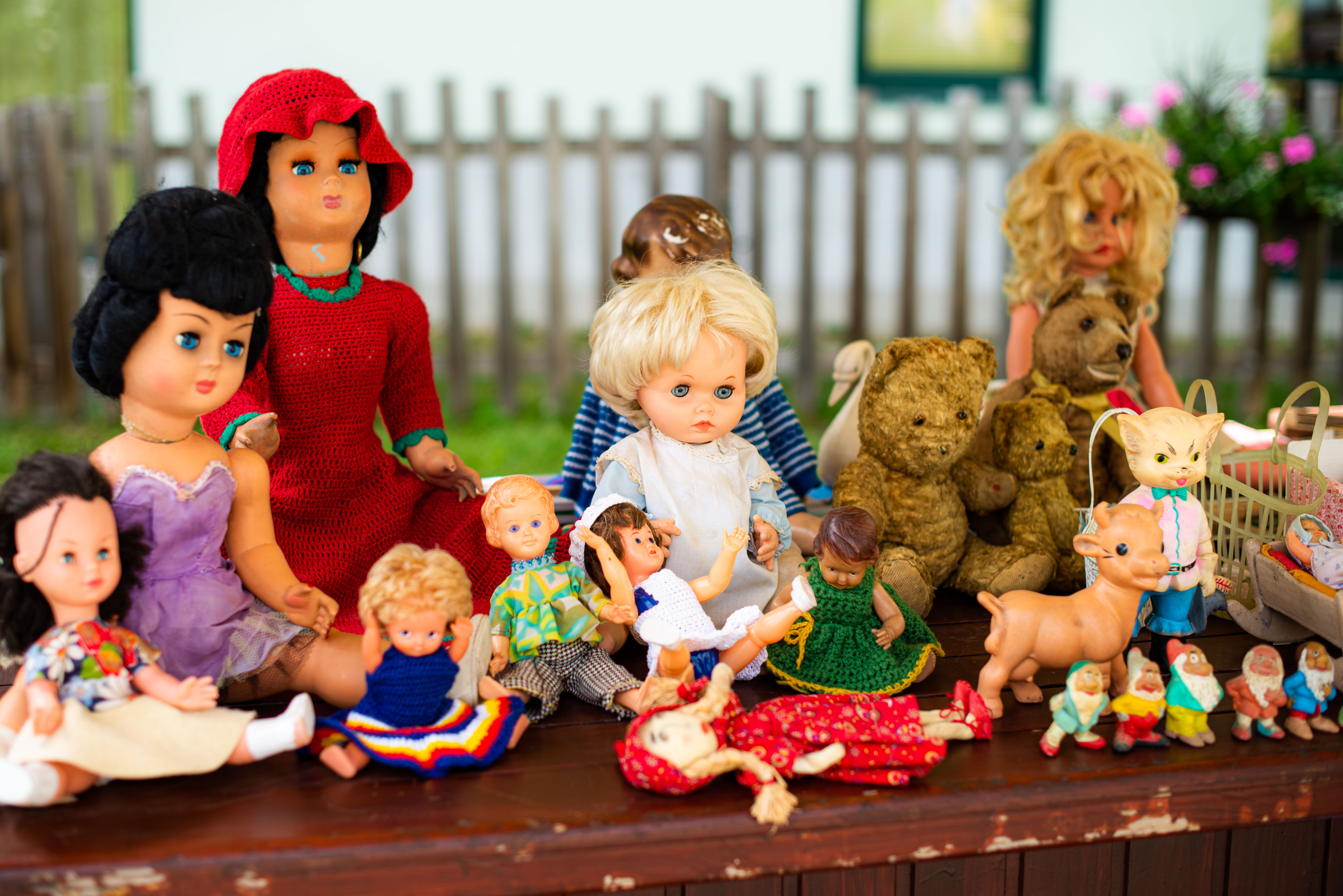 Z Viharnikom skozi čas - v parku doma