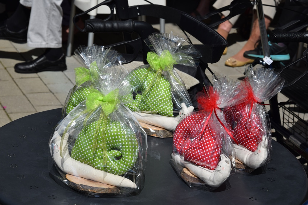 Zaključek projekta Okolju prijazen Viharnik