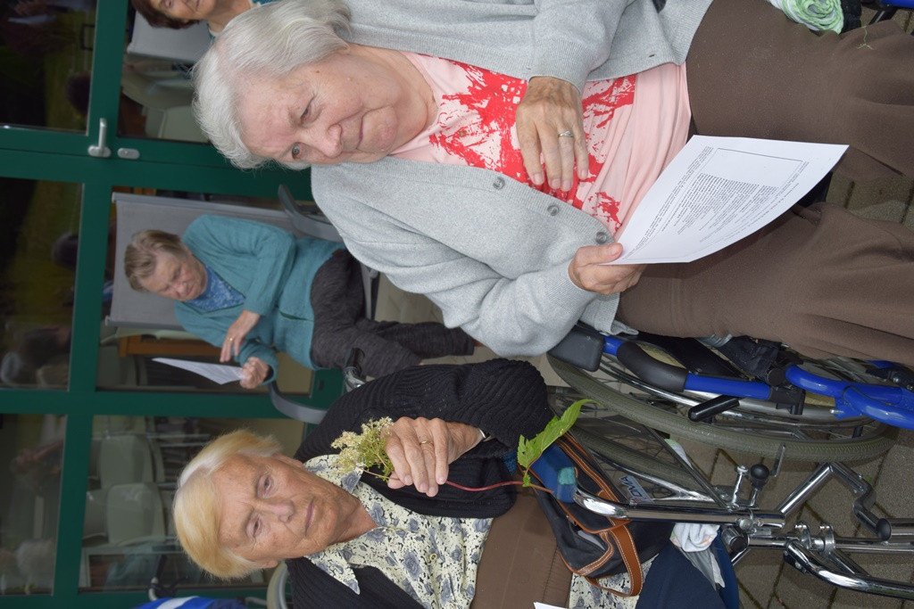 Zdravilna moč čajev