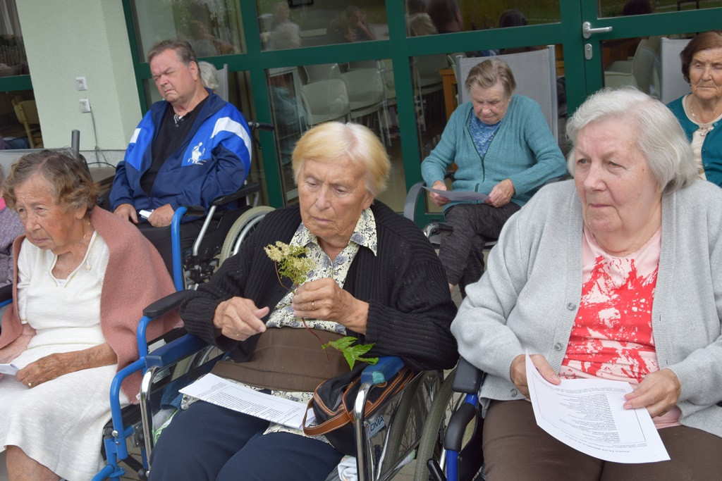 Zdravilna moč čajev