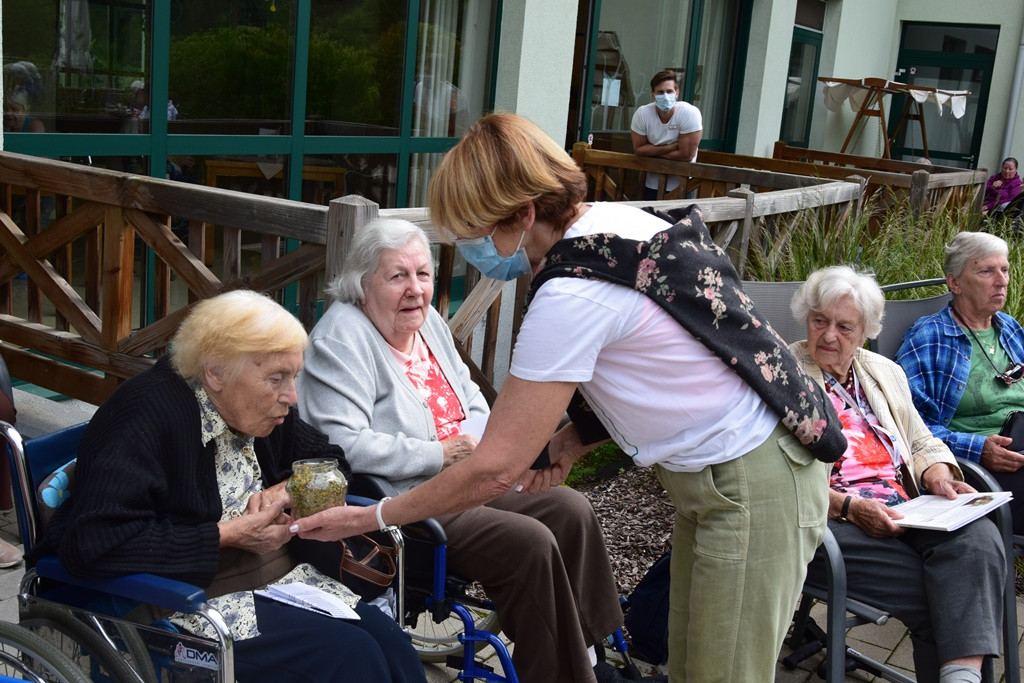 Zdravilna moč čajev