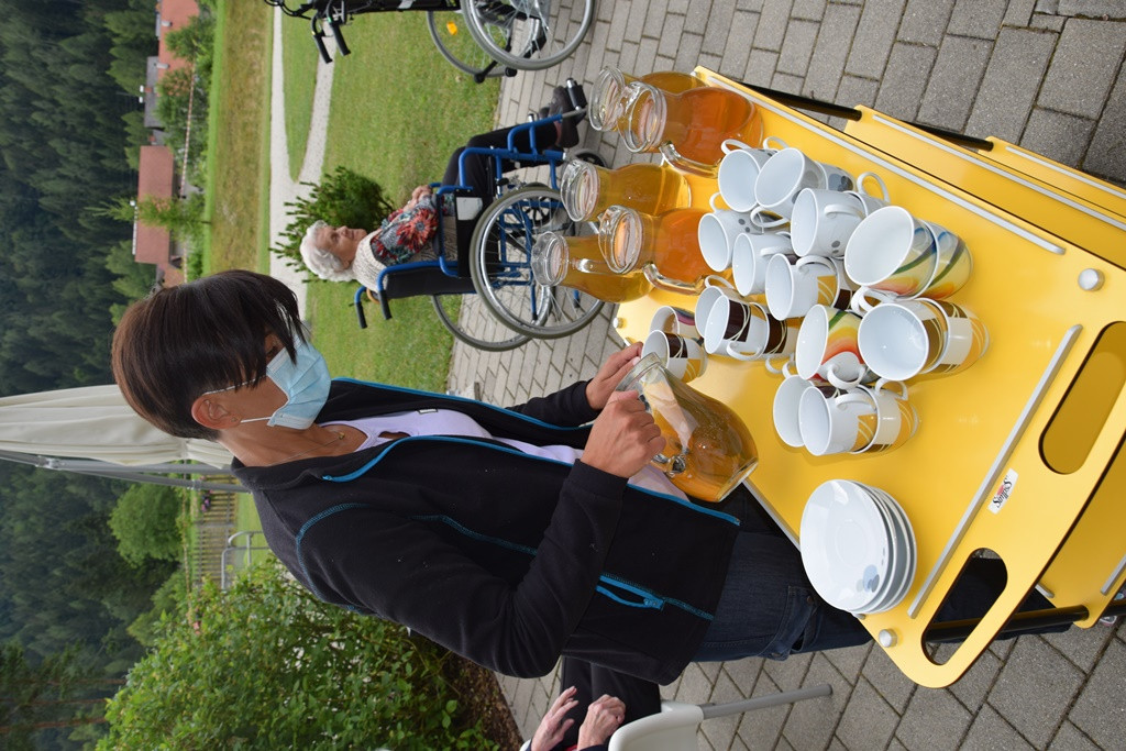 Zdravilna moč čajev