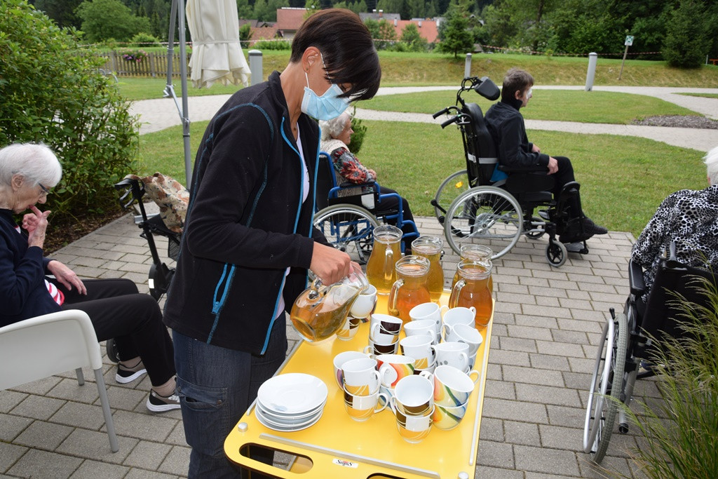 Zdravilna moč čajev