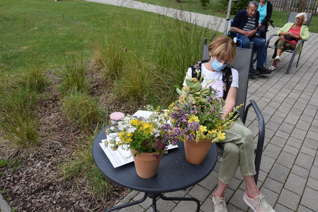 Zdravilna moč čajev