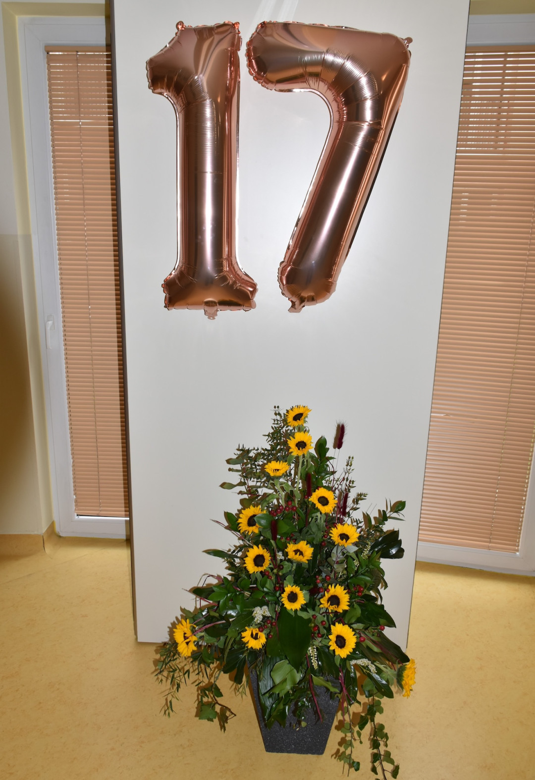 17. obletnica Pegazovega doma