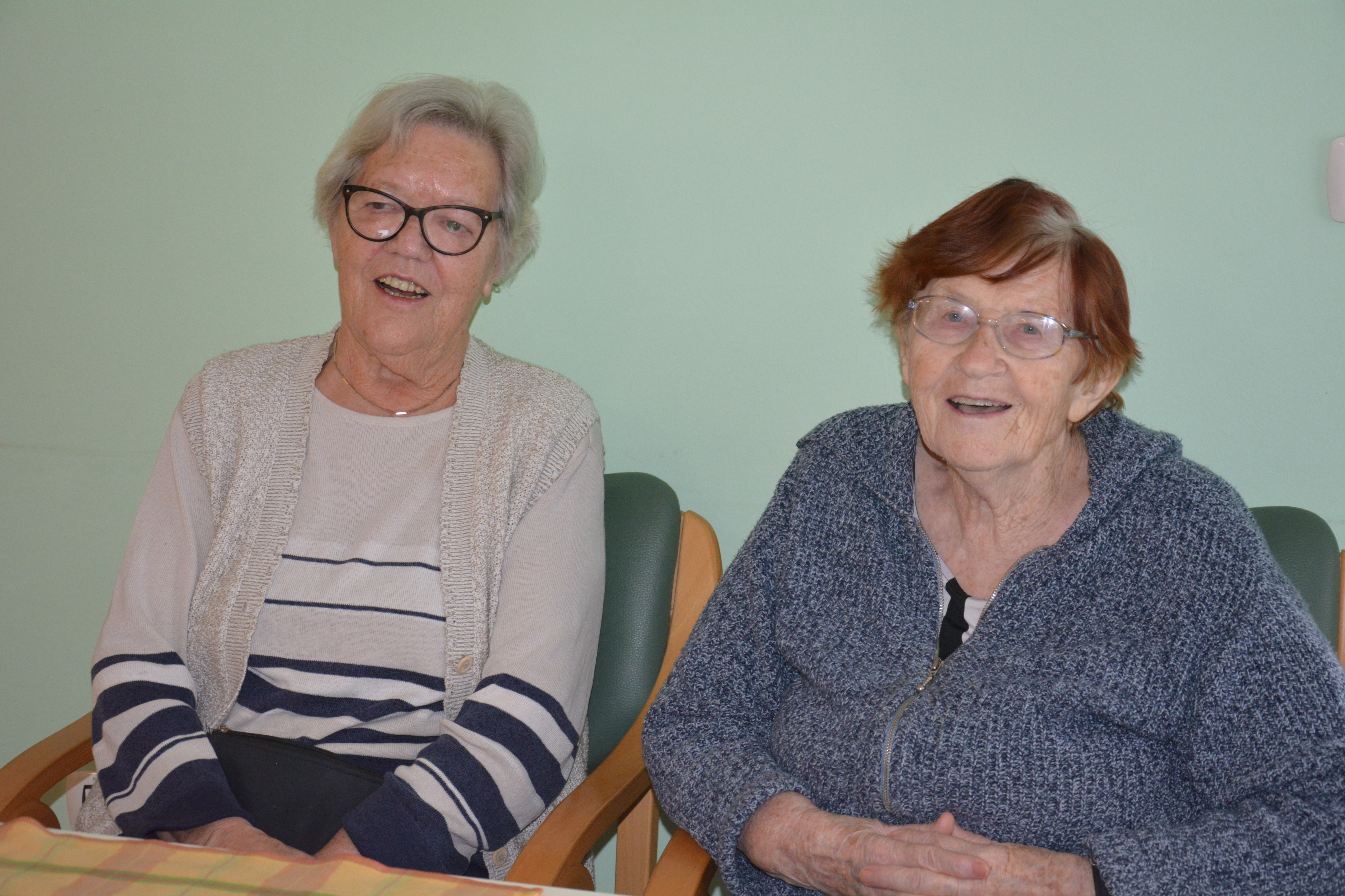 Ajdov narastek z jabolki in suhimi slivami