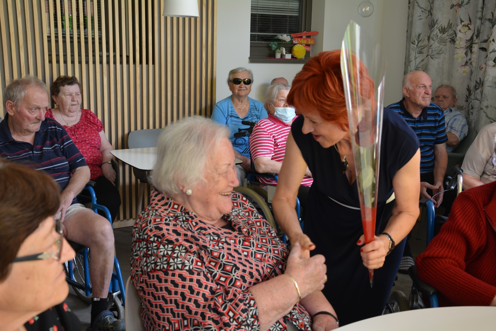 Anino v Pegazovem domu