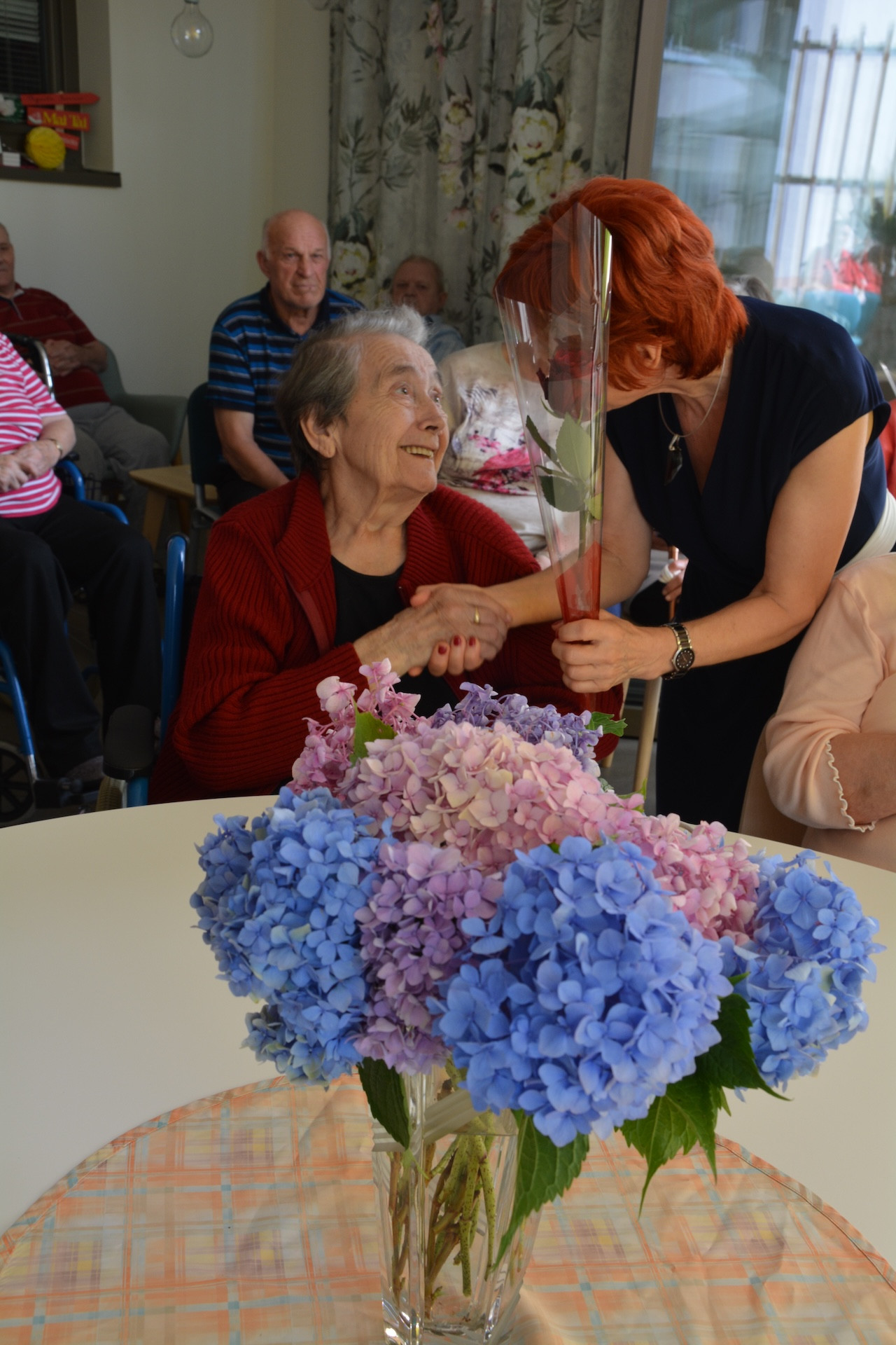 Anino v Pegazovem domu