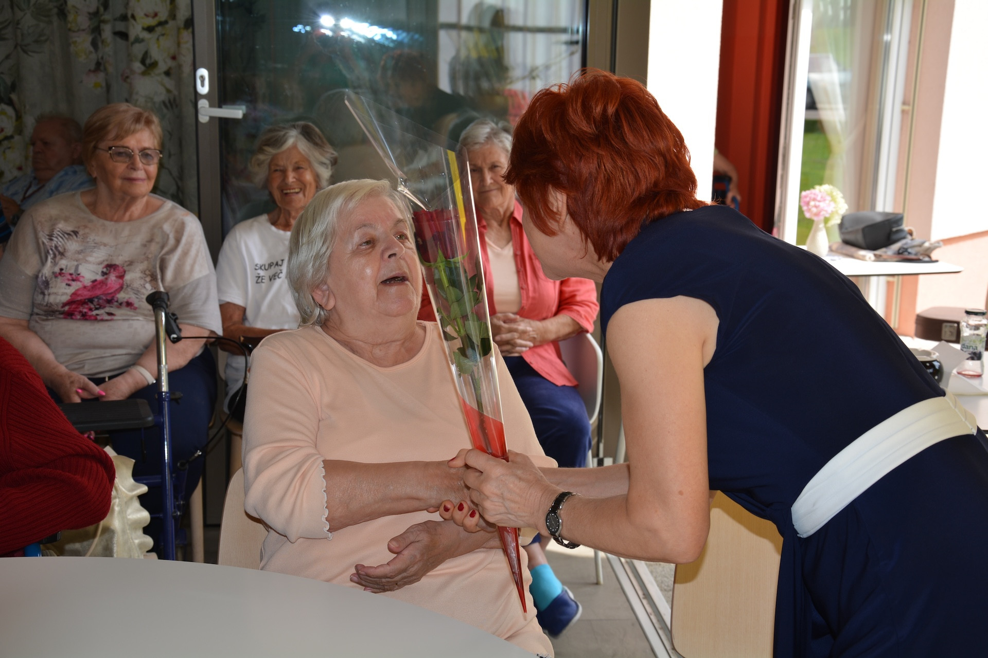 Anino v Pegazovem domu