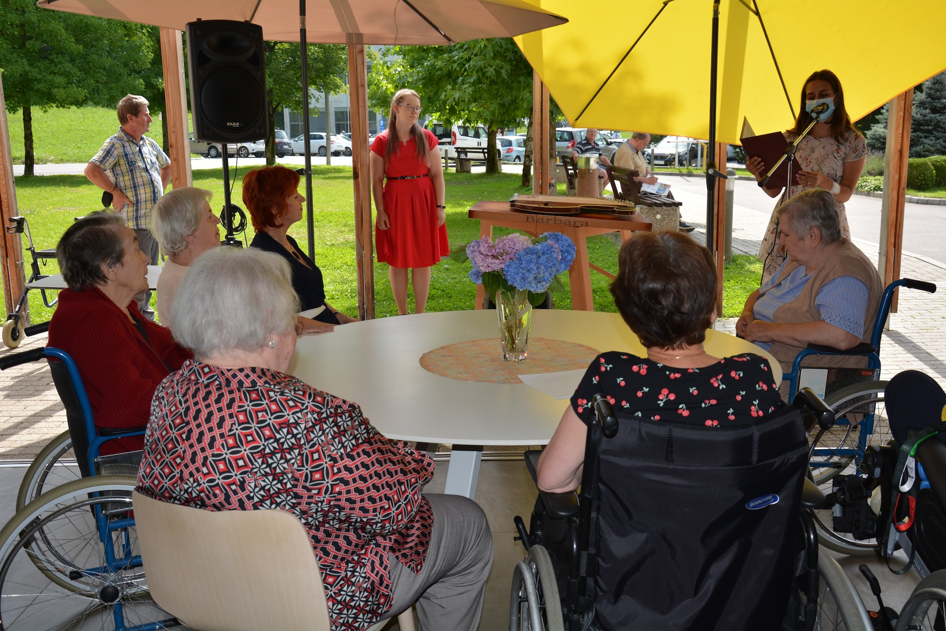 Anino v Pegazovem domu