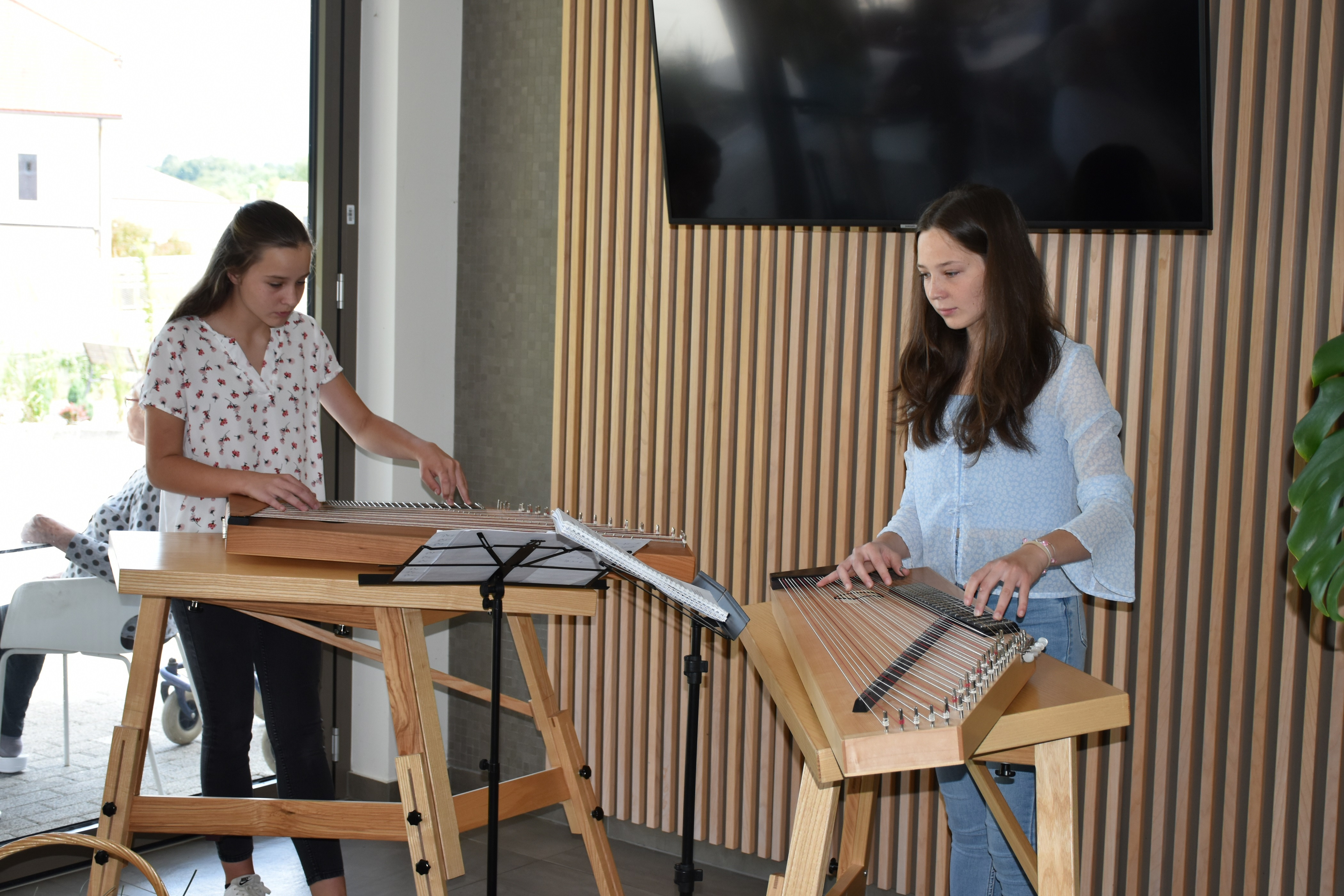 Anino v Pegazovem domu