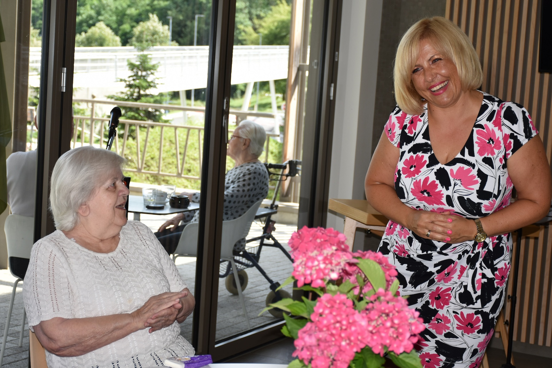 Anino v Pegazovem domu