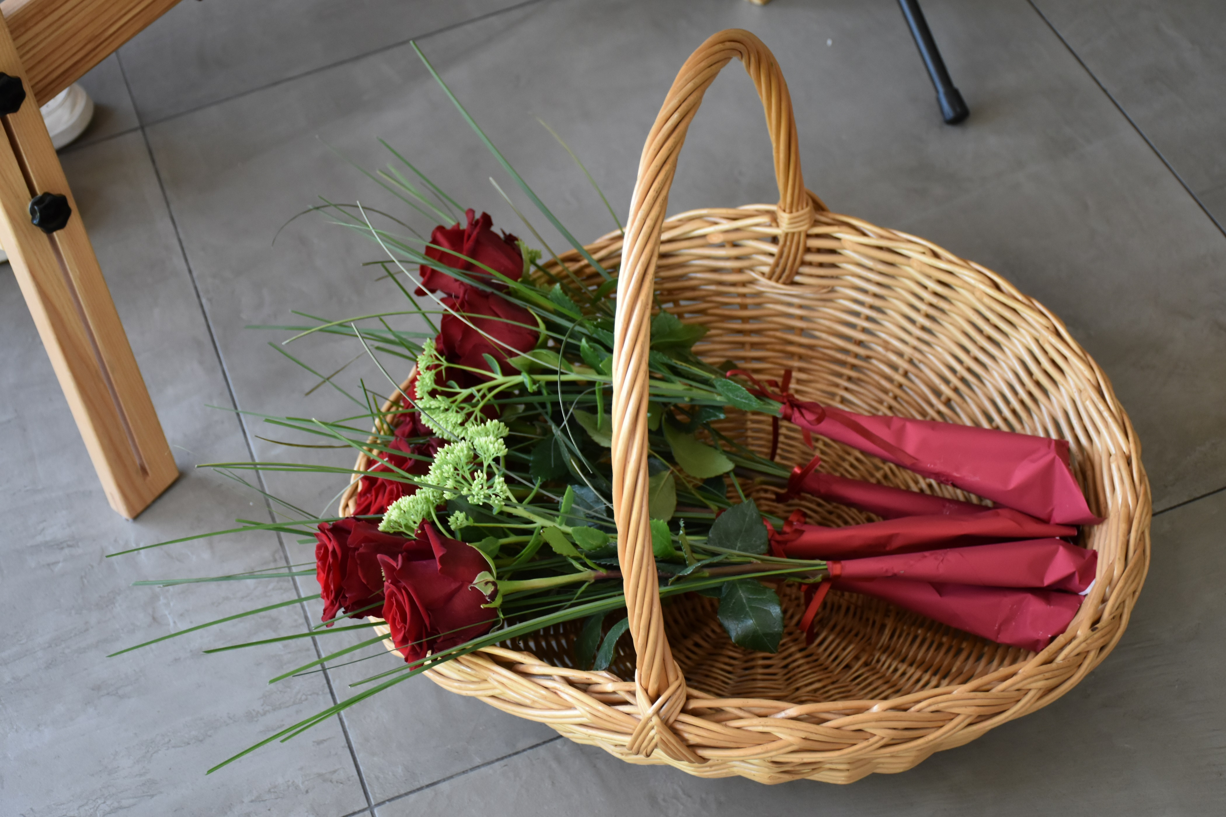 Anino v Pegazovem domu